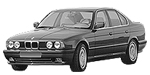 BMW E34 P2245 Fault Code